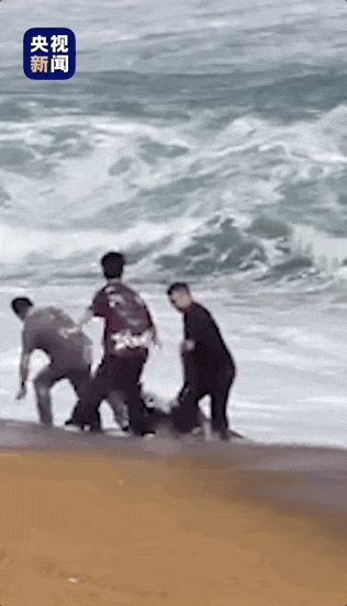 世界杯皇冠足球平台_惊险!一次次冲进大海的他世界杯皇冠足球平台,还有另一个身份