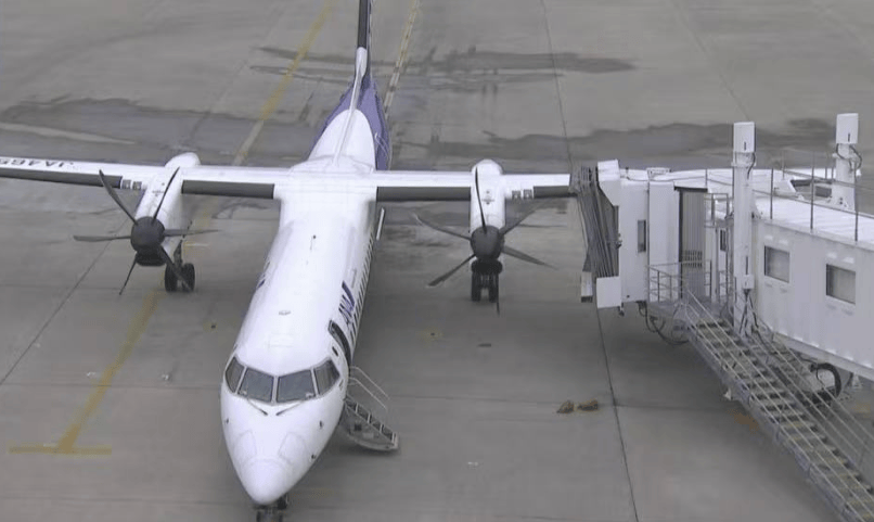 皇冠信用网代理申请_一客机滑行时机翼与廊桥相撞皇冠信用网代理申请!