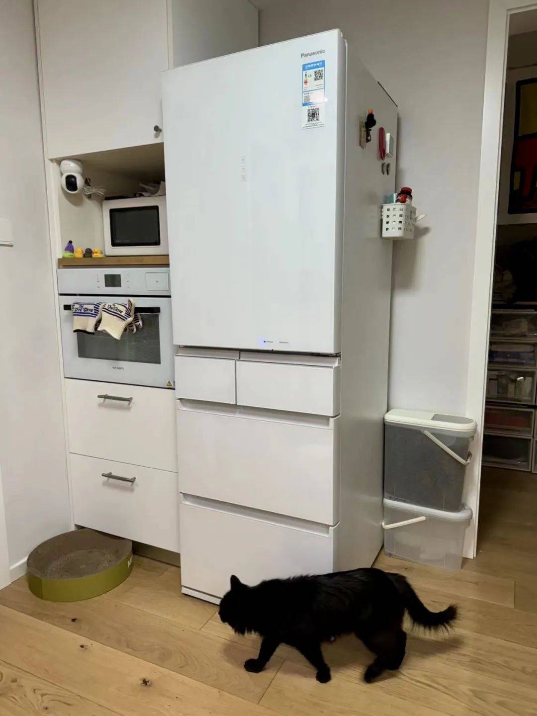 皇冠信用网出租_“新冰箱吸不住高价买的冰箱贴”皇冠信用网出租,气疯有囤积癖的年轻人