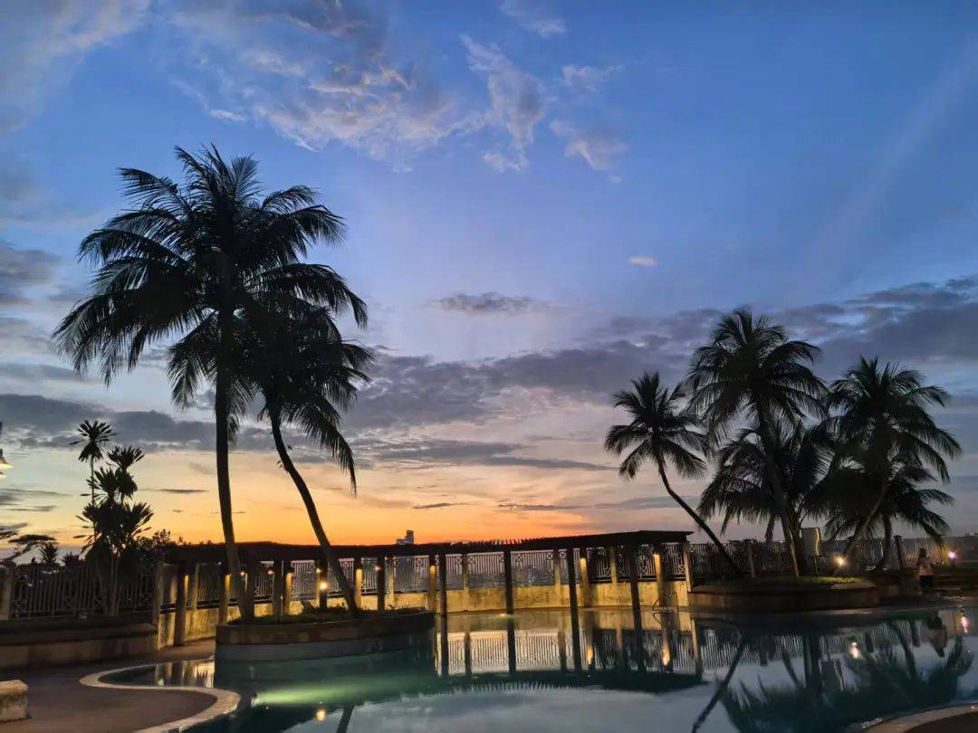 新2备用网址_被学费背刺的裸辞人新2备用网址,涌向留学平替圣地