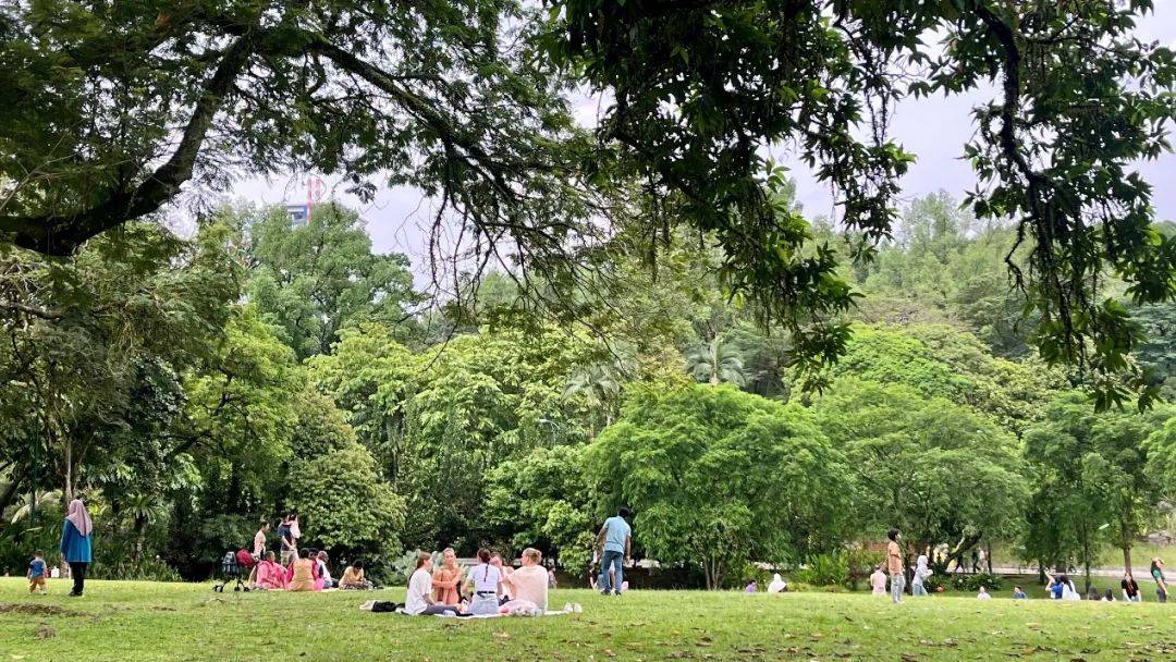 新2备用网址_被学费背刺的裸辞人新2备用网址,涌向留学平替圣地