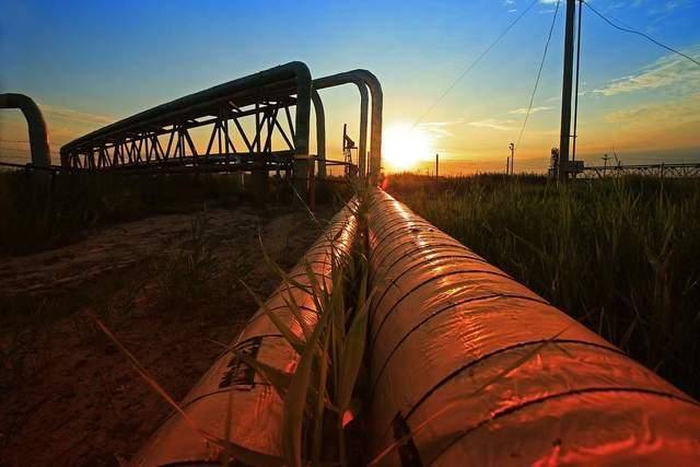 皇冠信用代理_只用72小时皇冠信用代理,中方让特朗普变了个人?一个劲称赞中国“做得好”