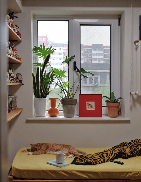 皇冠信用会员账号注册_头最铁的年轻人皇冠信用会员账号注册,买房只买顶楼