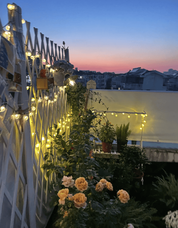 皇冠信用会员账号注册_头最铁的年轻人皇冠信用会员账号注册,买房只买顶楼