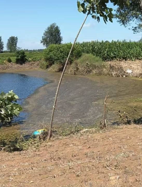 皇冠网上投注_“女生遭侵犯落水被阻挡上岸至溺亡”案续:检方提起抗诉皇冠网上投注,建议死刑