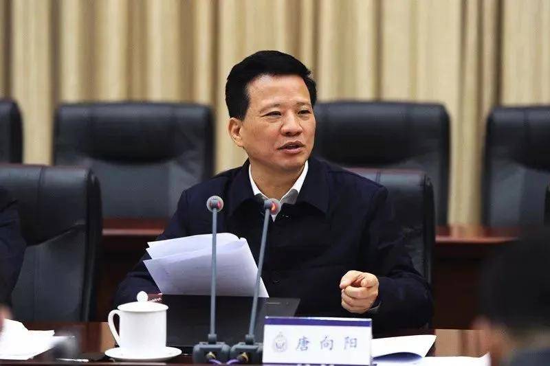 皇冠电竞盘口_长沙市公安局原局长唐向阳被查皇冠电竞盘口,早年当过木材厂车间主任