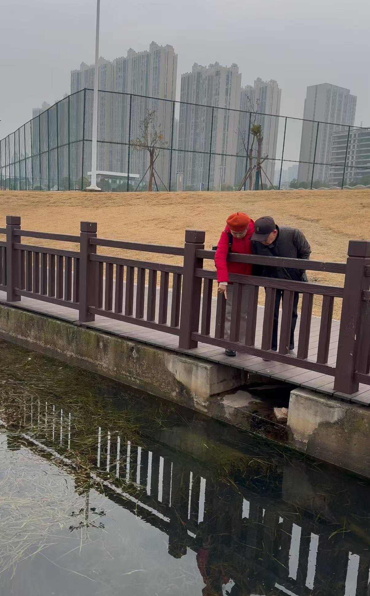 皇冠信用平台出租_现场壮观!长沙松雅湖公园出现“鱼潮”皇冠信用平台出租,网友:这是鱼儿在“团建”