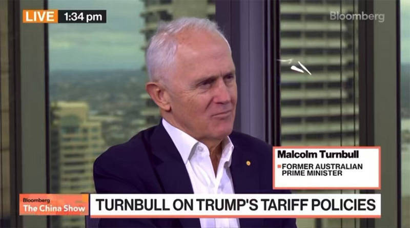 皇冠信用网开号
_澳大利亚前总理特恩布尔:难道要去白宫排队给恶霸拍马屁皇冠信用网开号
?这只会更受欺凌