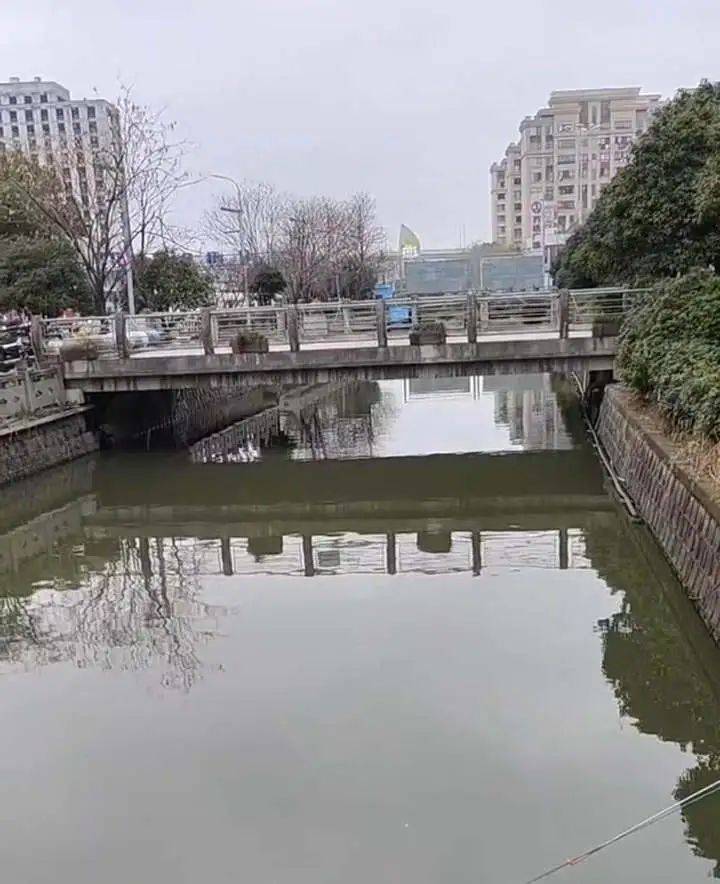 信用網怎么注册_痛心！她于凌晨不幸去世信用網怎么注册，年仅19岁