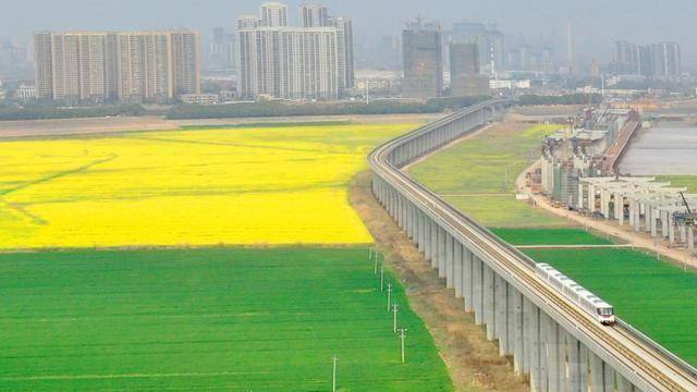 信用網如何申请
_四连赞信用網如何申请
!外交部发言人点赞武汉地铁站