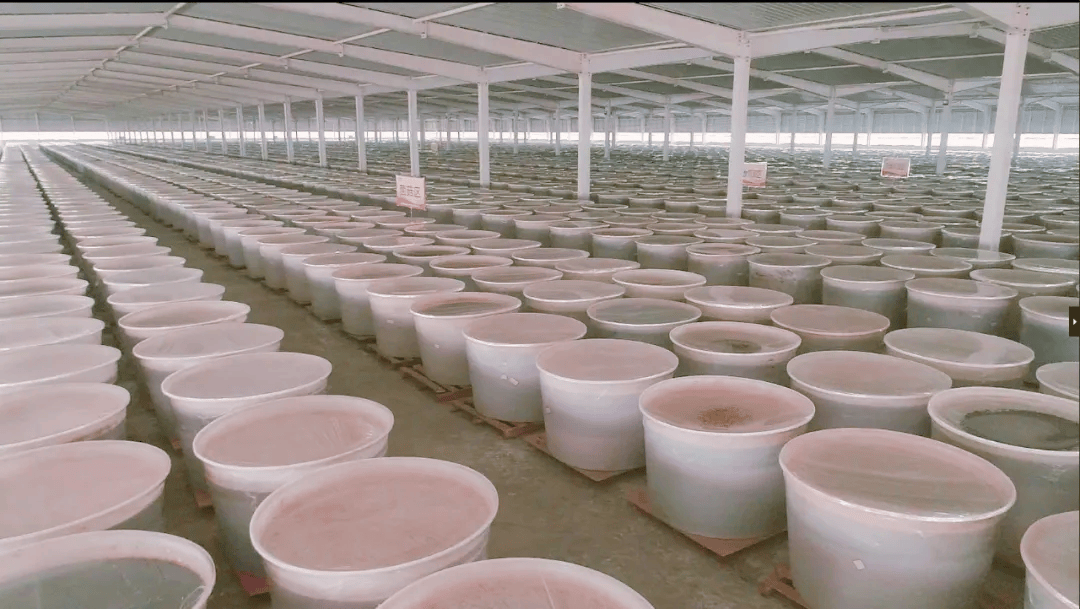 皇冠信用网登2代理_登上“一带一路”中欧专列皇冠信用网登2代理，恒利康酵素产品进军欧洲市场