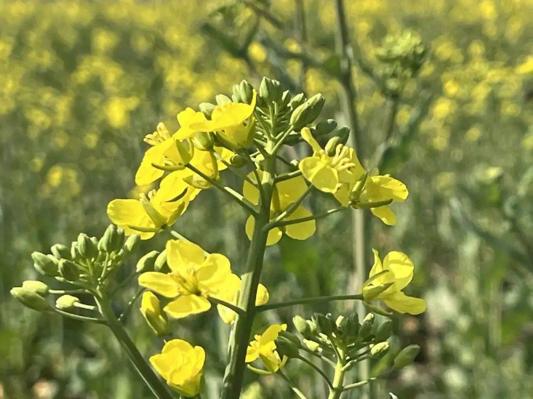 信用平台出租
_暴降25℃信用平台出租
!刚刚确认:杭州大反转!从这天开始......