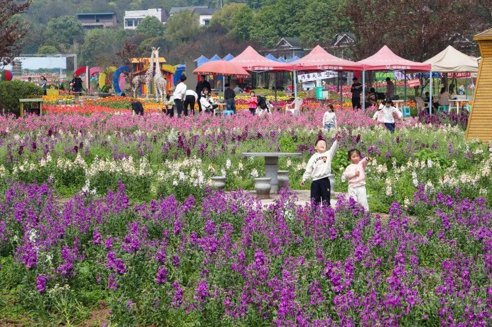 皇冠信用網怎么开账号
_“气温过山车”!明天重庆最高33℃皇冠信用網怎么开账号
,后天雷雨+大风