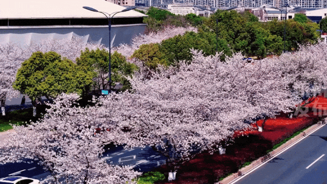 皇冠信用網占成代理
_最新确认:今夜抵达杭州皇冠信用網占成代理
!断崖式暴跌!下暴雨、冰雹、强雷电……