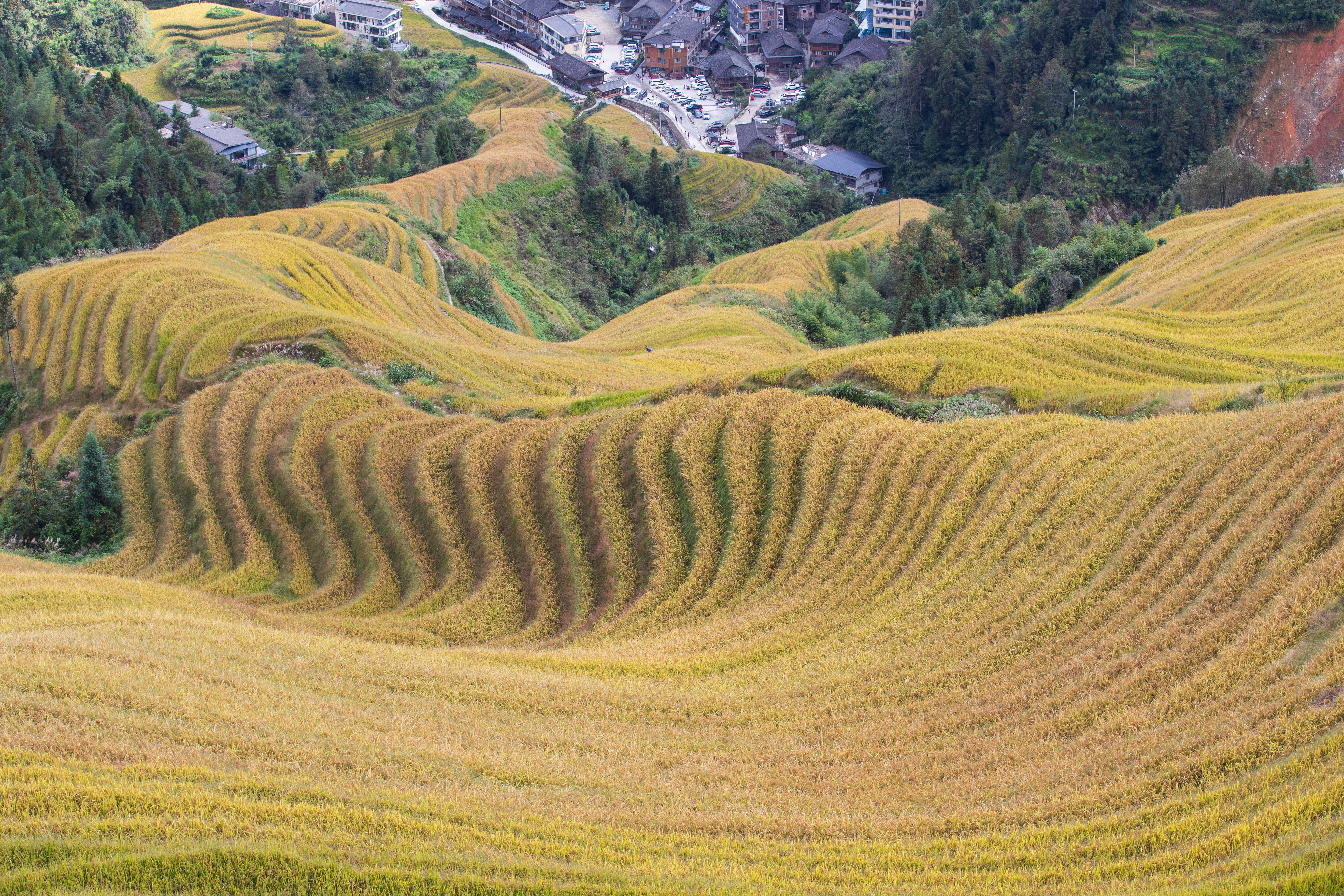 皇冠信用网如何注册
_别样中国|山水桂林皇冠信用网如何注册
,天下无双