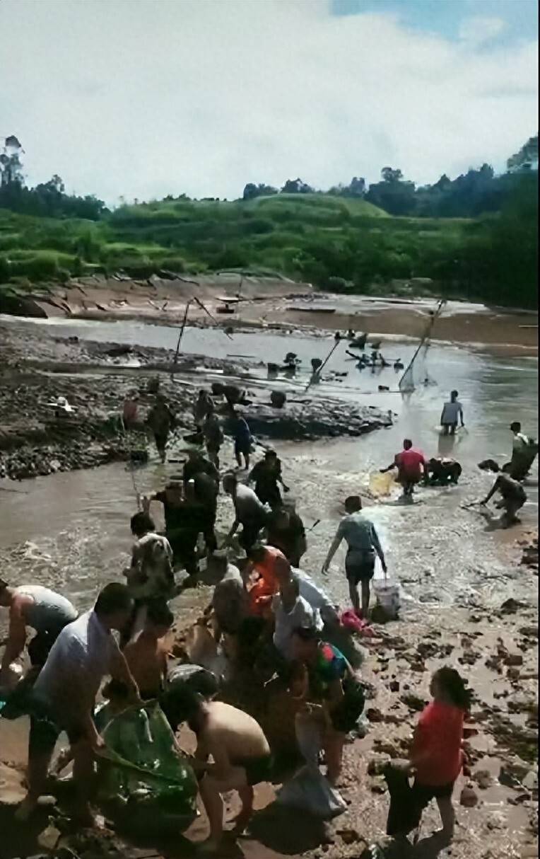 皇冠信用網开户
_街道办违法强拆120亩鱼塘皇冠信用網开户
,致37万斤鱼损失被判赔380万,回应称无赔付能力可法拍资产抵债