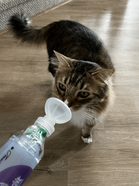 信用網如何申请
_美国人开启疯狂囤货模式信用網如何申请
,“中国电视被买空”