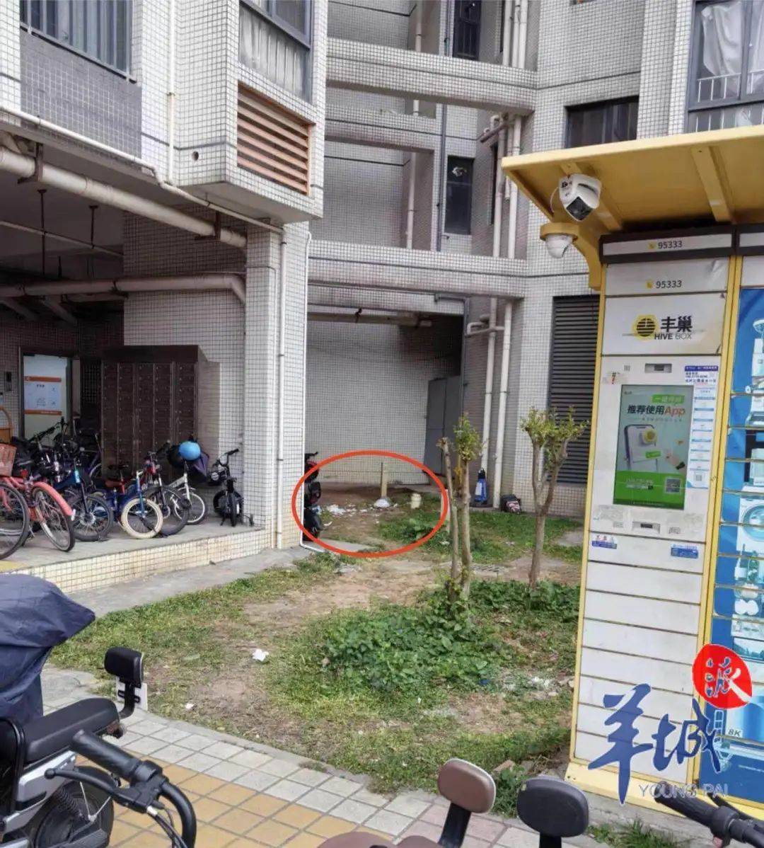 皇冠信用網怎么申请
_广州一清洁阿姨被天降玻璃瓶砸中皇冠信用網怎么申请
,血流不止!小区物业:尚未找到肇事者