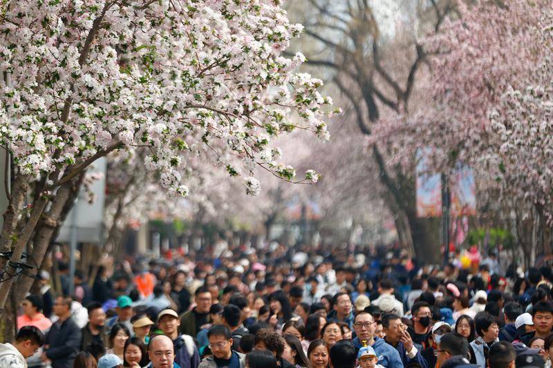 皇冠信用網会员
_清明假期山岳类景区热度大涨皇冠信用網会员
,哪里“堵山”了?
