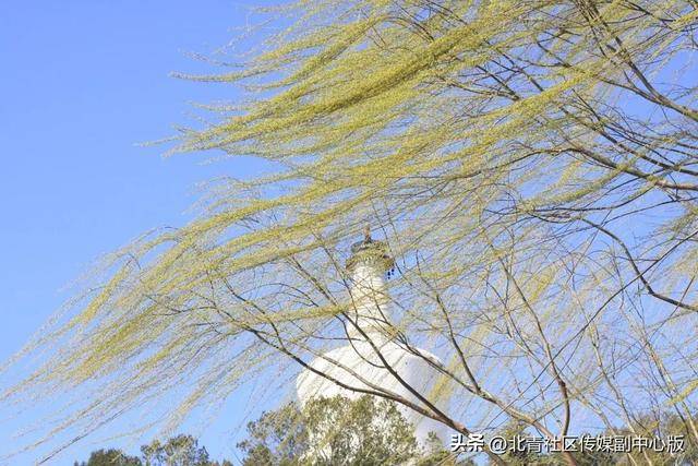 波兰乙组联赛
_非必要不出门波兰乙组联赛
!13级阵风将在北京这些区域出现——