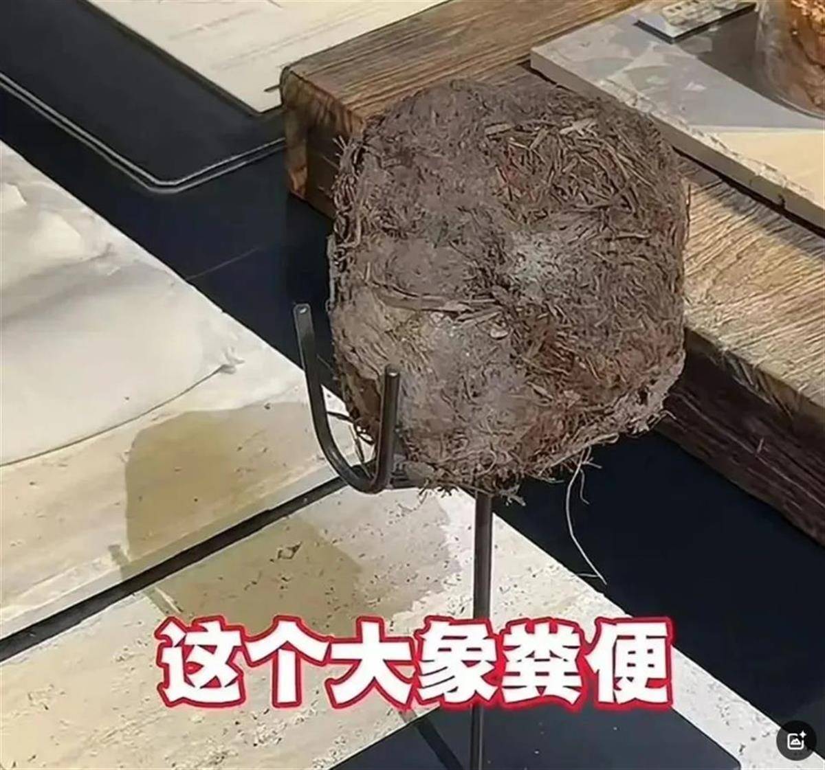 奇幻赛事
_用大象粪便做甜品的餐厅奇幻赛事
,因违反《食品安全法》被立案调查