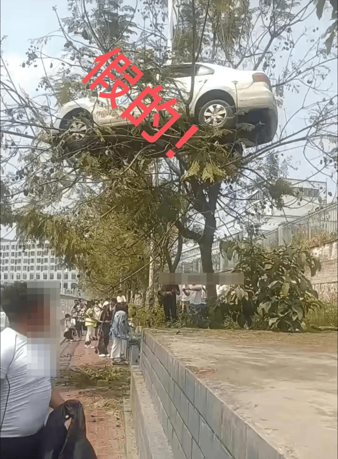 皇冠信用盘代理登3
_大反转皇冠信用盘代理登3
!竟然是假的!确认系摆拍