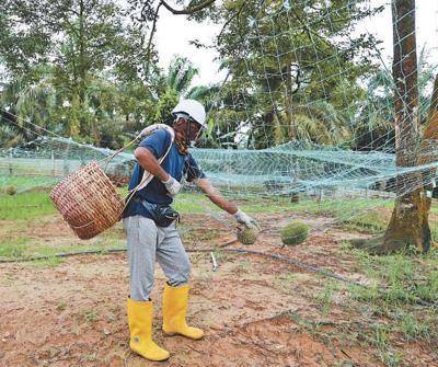 皇冠信用盘如何注册
_“马来西亚和中国合作实现皇冠信用盘如何注册
了双赢”