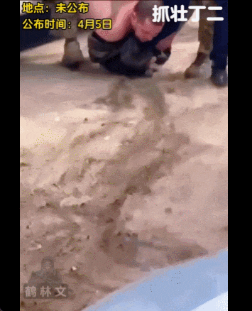 皇冠皇冠平台
_泽连斯基:乌军死亡10万皇冠皇冠平台
,850万人外逃!乌克兰还能挤出多少兵?