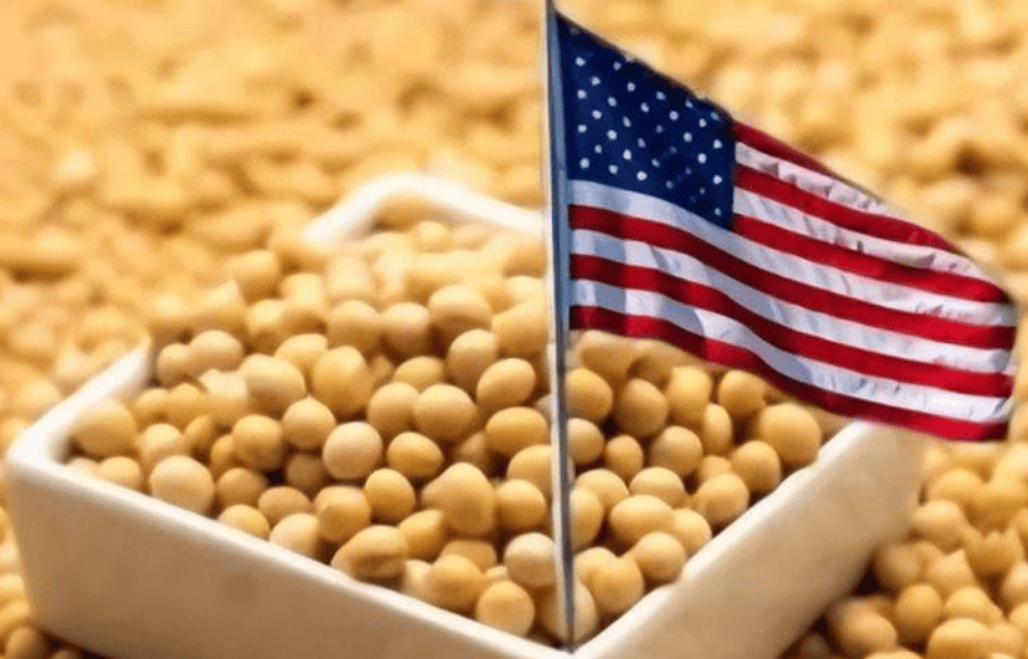 hga010怎么注册账号_对华出口下降70%！特朗普大打出手hga010怎么注册账号，没想到第一个倒下的竟是自己人