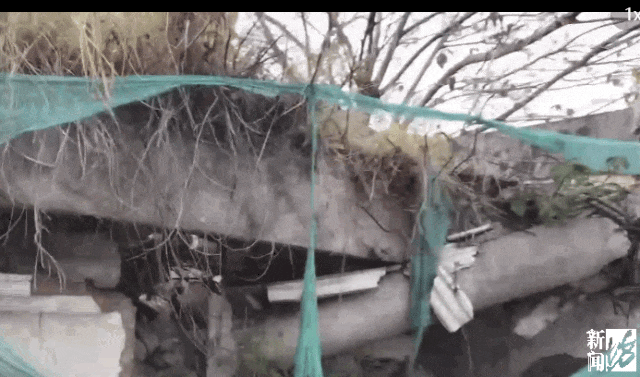 hga035会员注册
_存在8年无法去除hga035会员注册
!沪一小区居民犯愁:阵阵恶臭……怎么办?