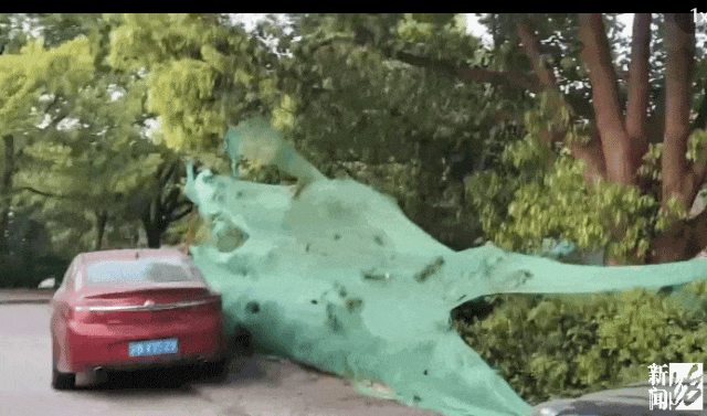 hga035会员注册
_存在8年无法去除hga035会员注册
!沪一小区居民犯愁:阵阵恶臭……怎么办?