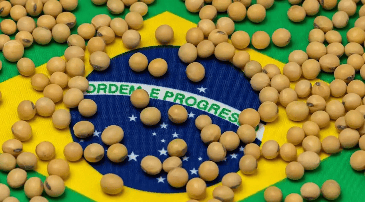 皇冠信用盘开户
_240万吨大豆抵达中国港口!特朗普没料到皇冠信用盘开户
,中国竟然真不怕脱钩