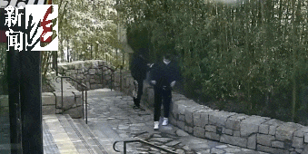 皇冠信用盘在线申请
_太猖狂!事发上海迪士尼皇冠信用盘在线申请
,7人被刑拘