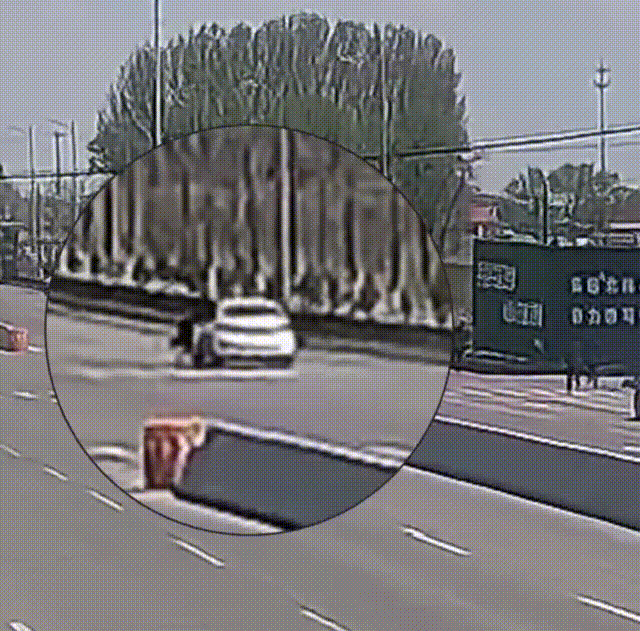 如何代理皇冠信用网
_心疼如何代理皇冠信用网
!56岁民警被毒贩拖行近200米