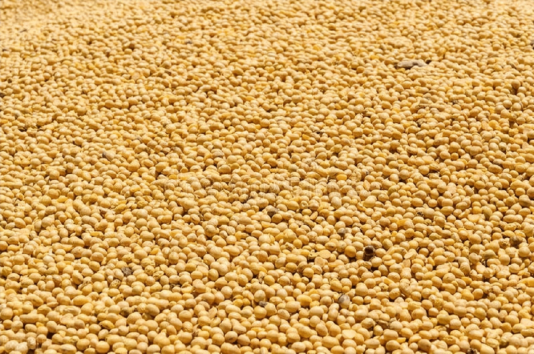 信用盘怎么注册
_大快人心!美国人一觉醒来信用盘怎么注册
,发现对华出口生意全被抢,特朗普慌了