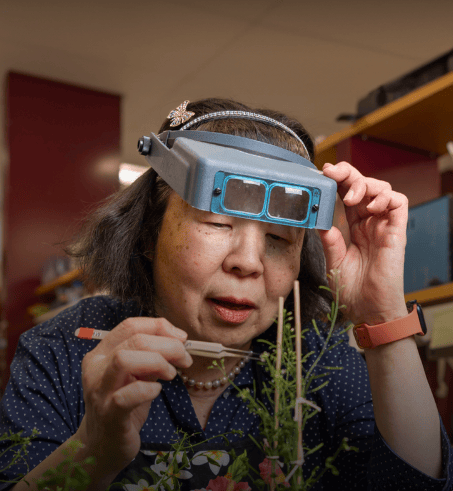 皇冠信用盘平台出租_95岁屠呦呦皇冠信用盘平台出租，当选美国科学院外籍院士