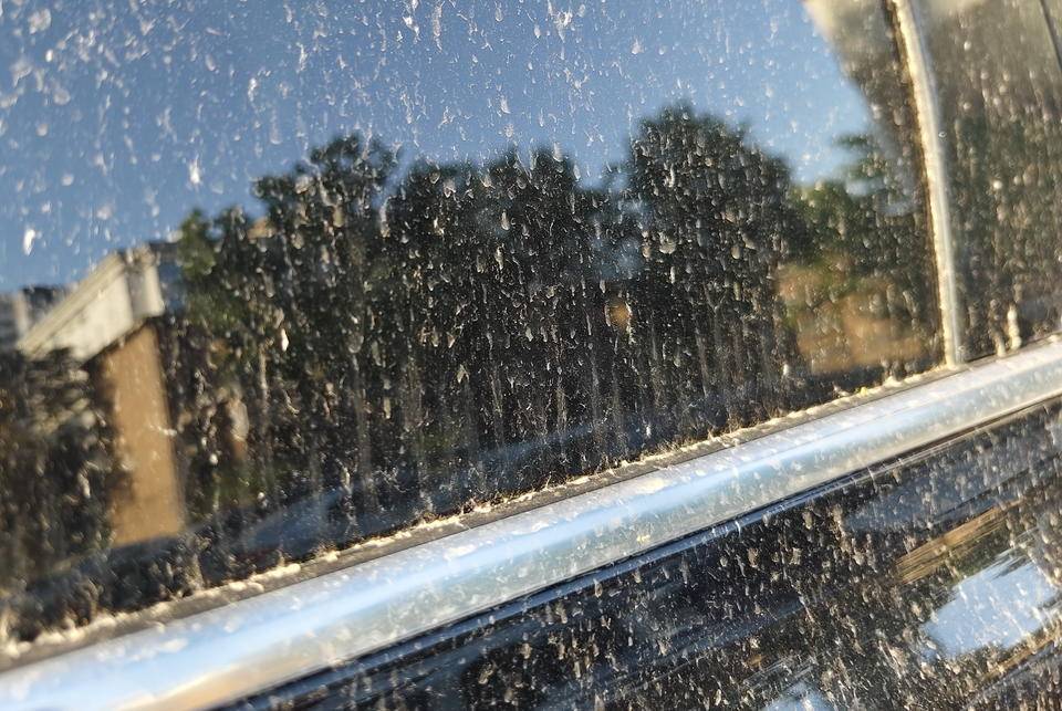 皇冠登一登二登三区别
_昨晚这场暴风骤雨皇冠登一登二登三区别
,让济南很多车辆变成“大花脸”