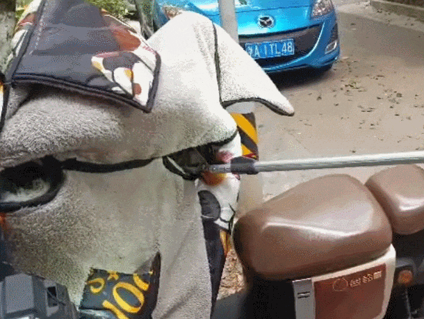 皇冠信用盘代理流程
_低头一看皇冠信用盘代理流程
,杭州小伙“魂都吓飞了”!正处于活跃期,消防重要提醒