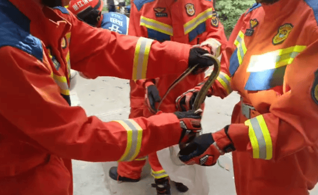 皇冠信用盘代理流程
_低头一看皇冠信用盘代理流程
,杭州小伙“魂都吓飞了”!正处于活跃期,消防重要提醒