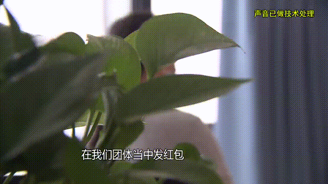 皇冠信用出租
_37岁痴情女子倾尽百万泡面果腹仍坚持转账:帮皇冠信用出租
他有种使命感