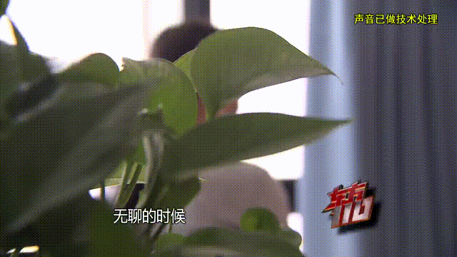 皇冠信用出租
_37岁痴情女子倾尽百万泡面果腹仍坚持转账:帮皇冠信用出租
他有种使命感