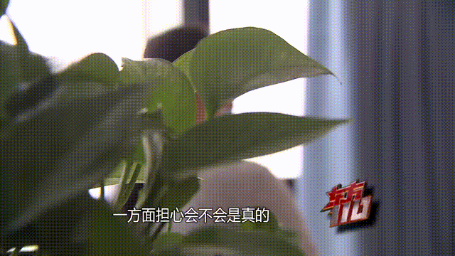 皇冠信用出租
_37岁痴情女子倾尽百万泡面果腹仍坚持转账:帮皇冠信用出租
他有种使命感