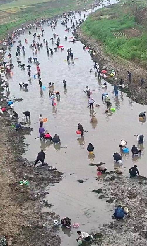 皇冠信用网代理流程
_河南浚县一处河道内众人捞金?当地辟谣:捞的是花甲皇冠信用网代理流程
,已劝离捕捞客