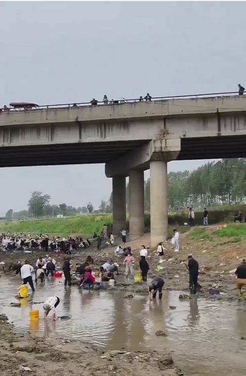 皇冠信用网代理流程
_河南浚县一处河道内众人捞金?当地辟谣:捞的是花甲皇冠信用网代理流程
,已劝离捕捞客