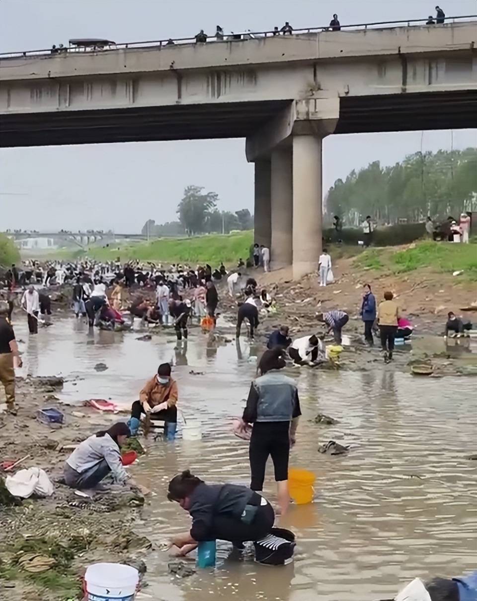 皇冠信用网代理流程
_河南浚县一处河道内众人捞金?当地辟谣:捞的是花甲皇冠信用网代理流程
,已劝离捕捞客
