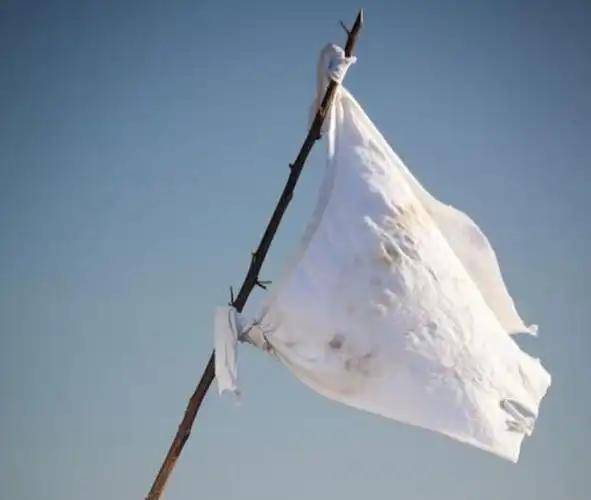 皇冠信用網怎么注册
_空军被打成6:0后皇冠信用網怎么注册
,印度陆军又升起了白旗,这是从法国那里学到了高招?