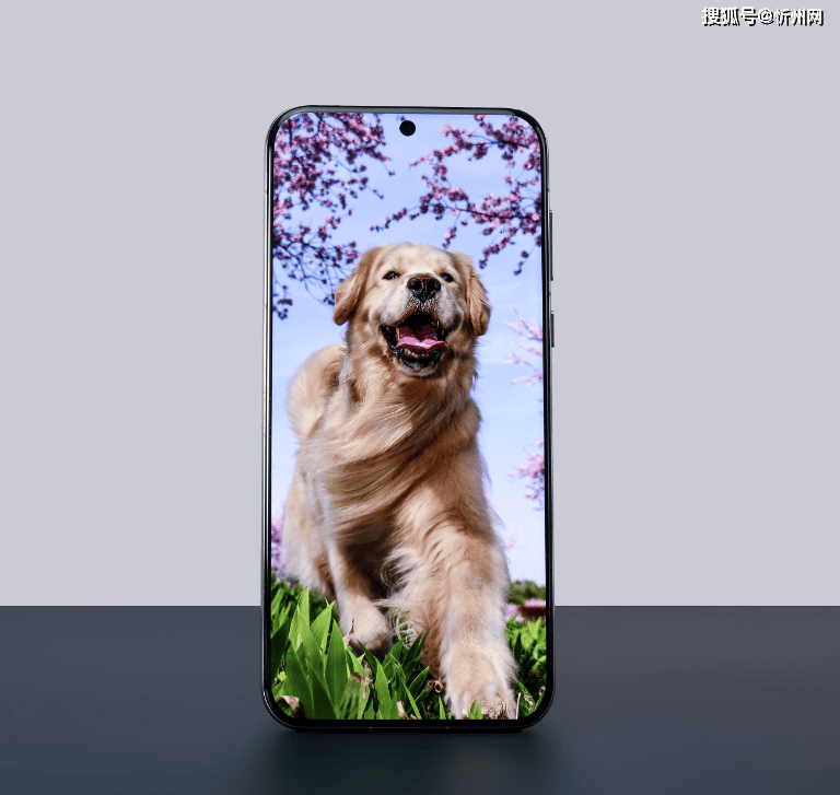 皇冠信用網开号
_华为再次妥协皇冠信用網开号
,麒麟9010+16GB+512GB突降2301元,不好卖还会降!