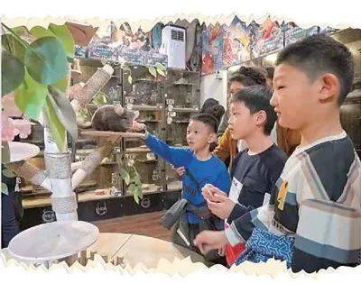 皇冠信用網代理怎么申请
_人民日报:吉林长春市红旗街——老商街“圈粉”年轻人