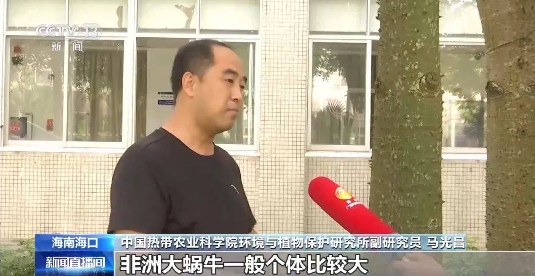 皇冠信用網代理
_别碰!别吃!别养!一只就携带100条虫皇冠信用網代理
,看到赶紧远离