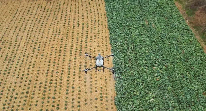 皇冠信用网出租足球
_【理响中国·春江水暖鸭先知】一架“无人机”飞出低空新天地